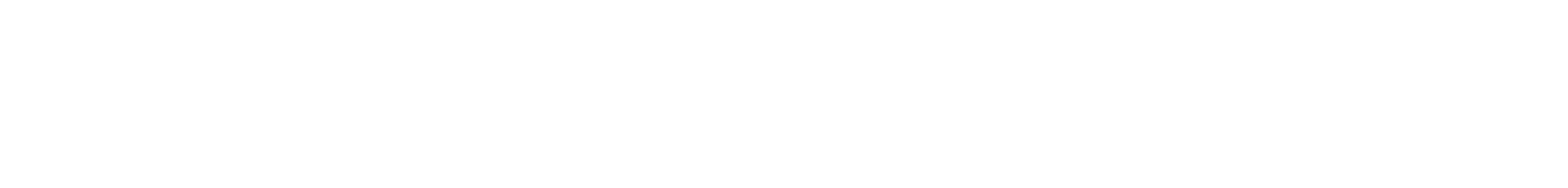 Dr. Peter Zwittnig, Wildon