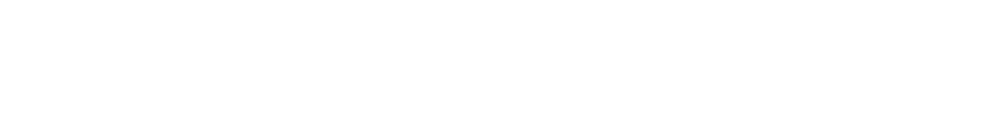 Dr. Peter Zwittnig, Wildon
